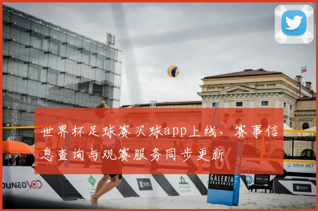 世界杯足球赛买球app上线,赛事信息查询与观赛服务同步更新