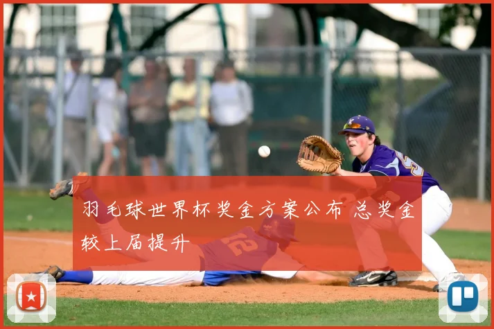 羽毛球世界杯奖金方案公布 总奖金较上届提升