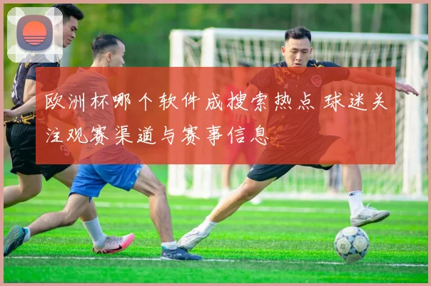 欧洲杯哪个软件成搜索热点 球迷关注观赛渠道与赛事信息