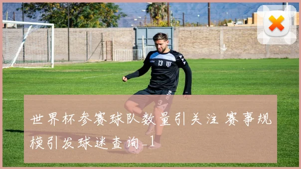 世界杯参赛球队数量引关注 赛事规模引发球迷查询_1