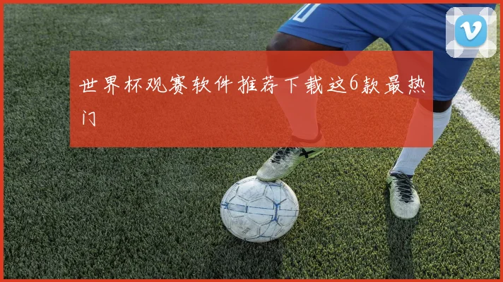 世界杯观赛软件推荐下载这6款最热门