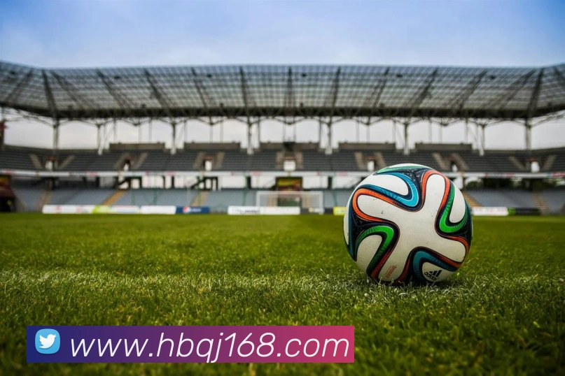 世界杯开户平台平台生态图